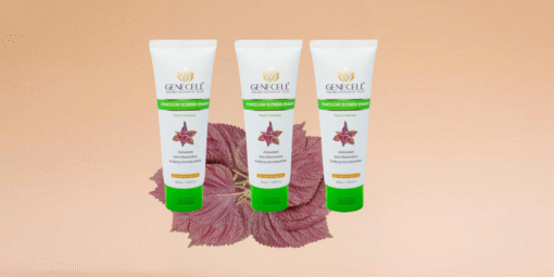 PURECLEAR BLEMISH ERASER)