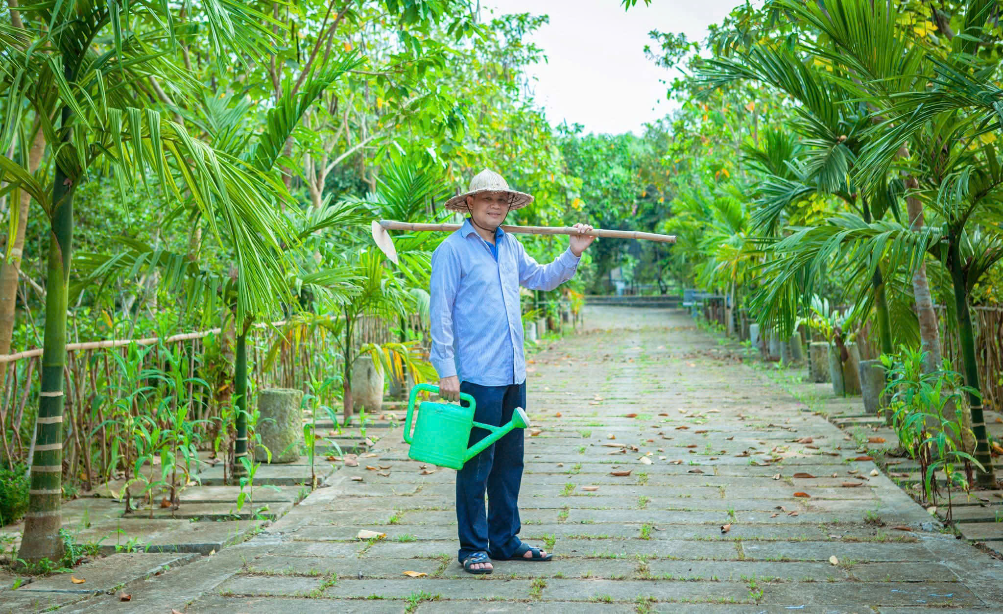 nong dan