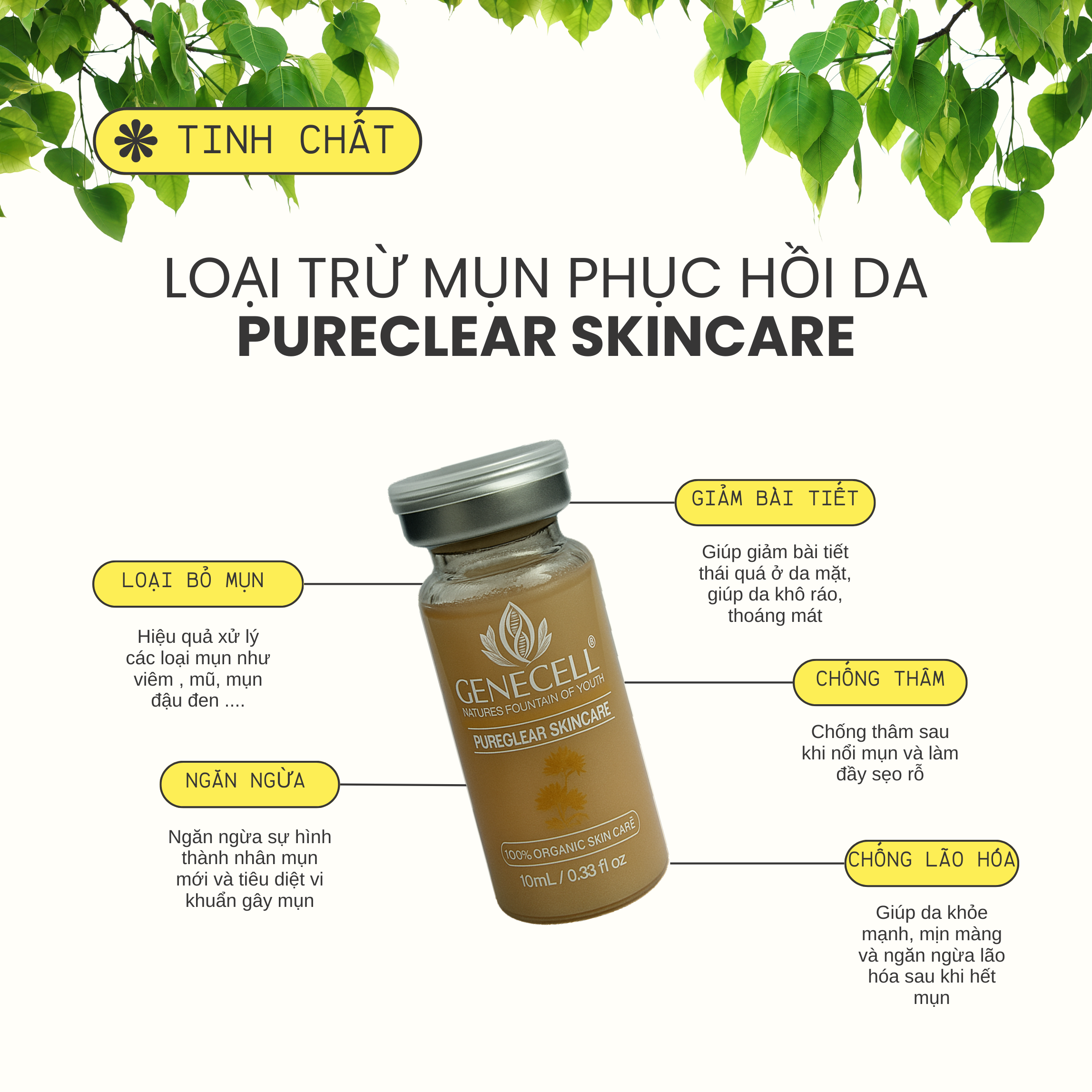 LOẠI TRỪ MỤN PHỤC HỒI DA PURECLEAR SKINCARE - Ảnh 2