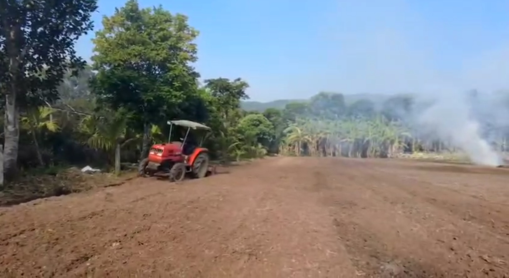 video khu thao duoc