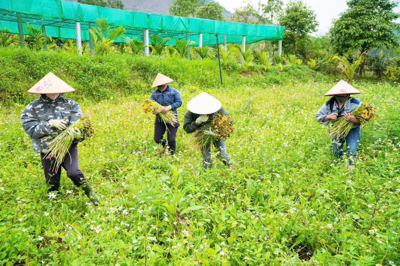 tâm nhìn su menh
