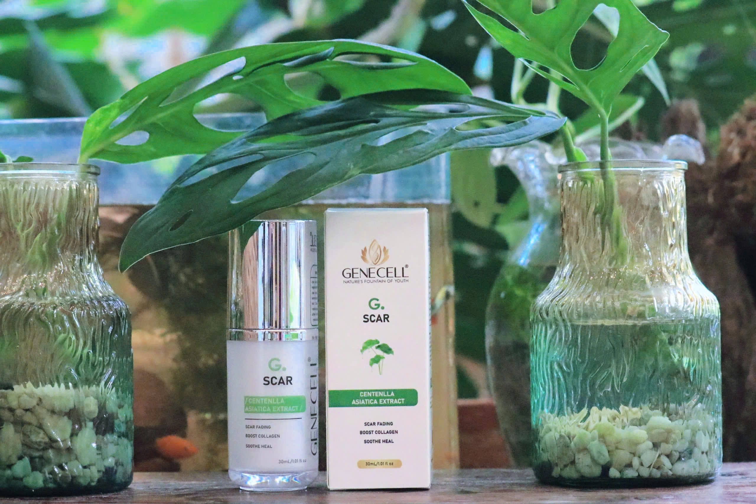 G.SCAR</br> Nhũ dịch làm mờ sẹo - Ảnh 5