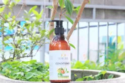 Genecell G.Condition