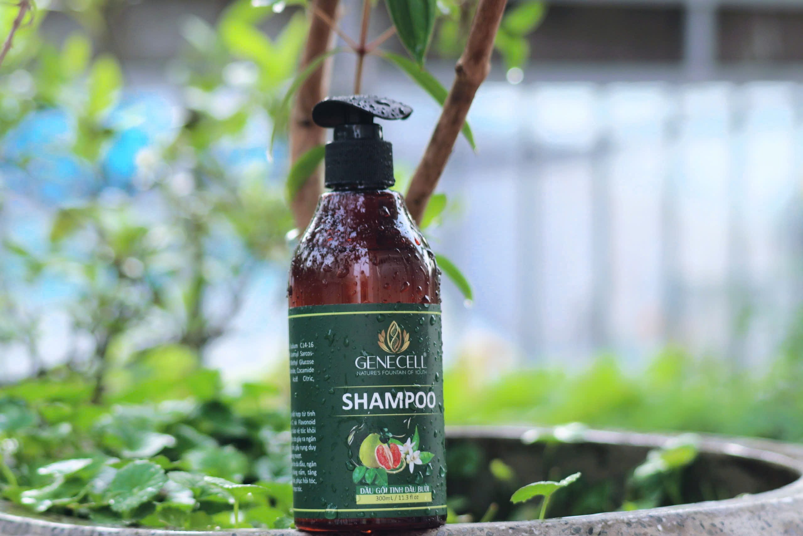 G.shampoo
