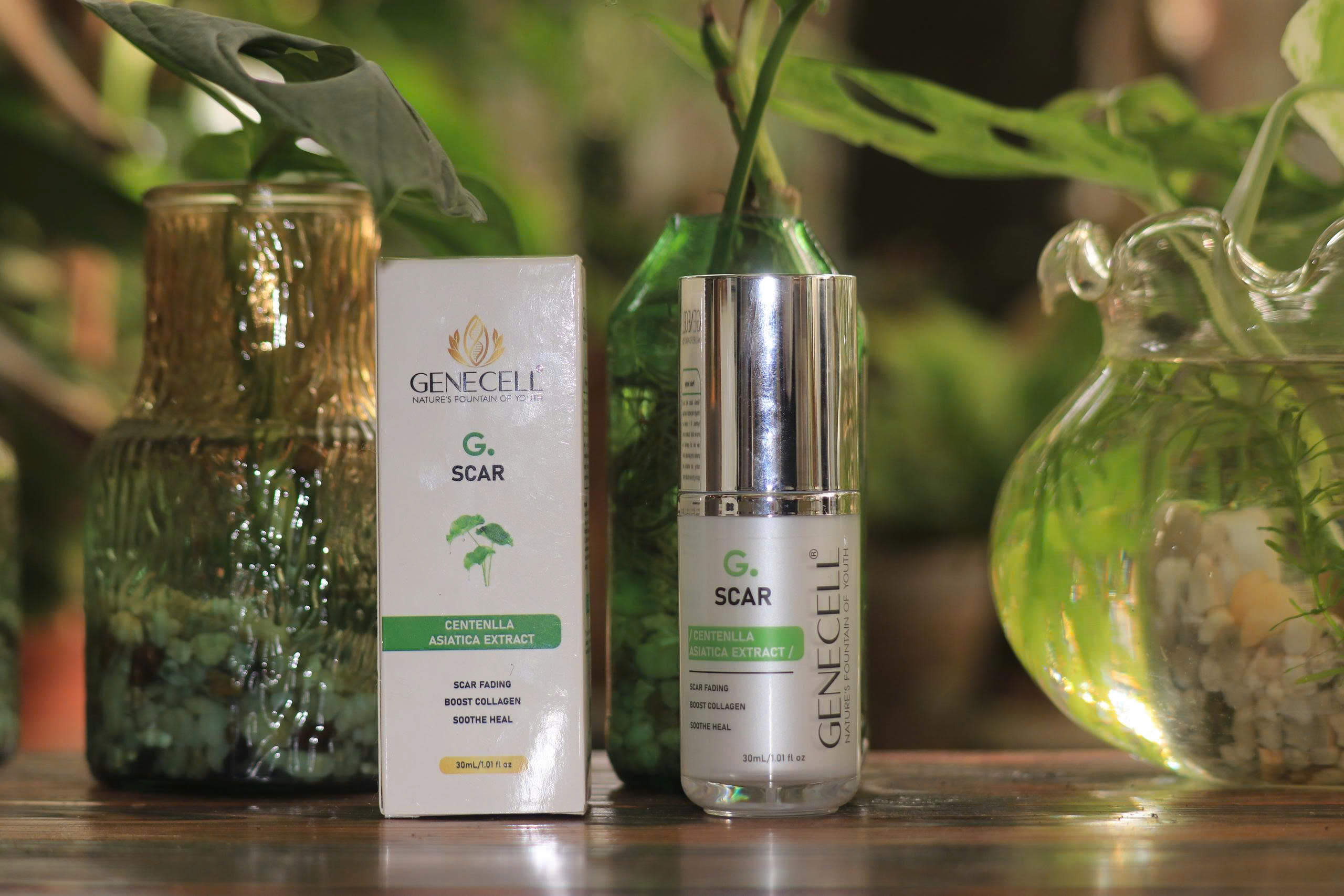 NHŨ DỊCH LÀM MỜ SẸO G.SCAR