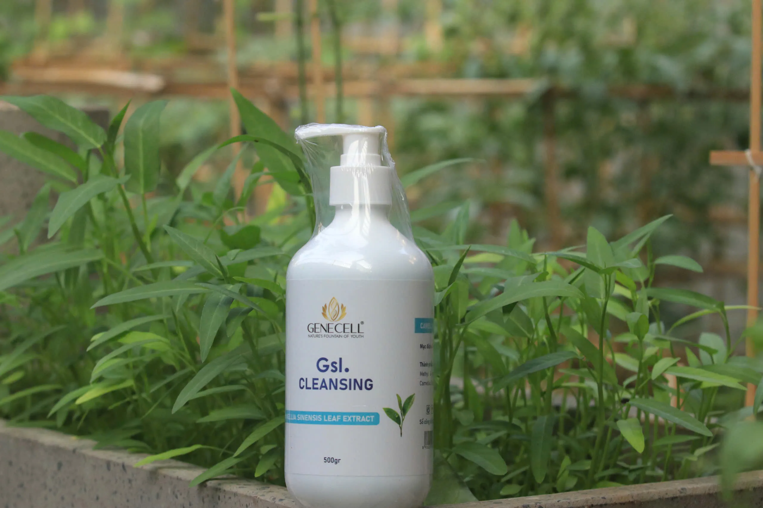 Genecell GSL. Cleansing - Ảnh 5