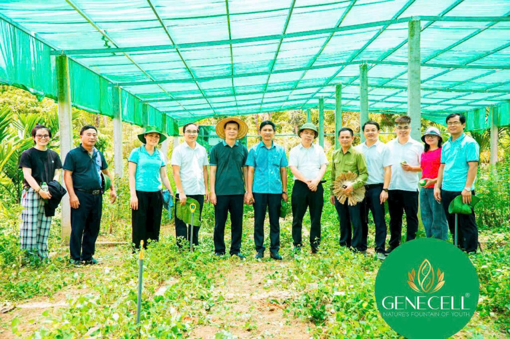 Genecell đón Tiến sĩ Phạm Thị Anh
