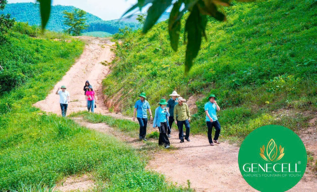 Genecell đón Tiến sĩ Trần Thị Phượng - Học Viện Y Dược học Cổ Truyền Việt Nam