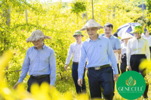 Genecell đón Viện trưởng Viện nghiên cứu Y Dược cổ truyền Tuệ Tĩnh - PGS. TS Vũ Đức Lợi